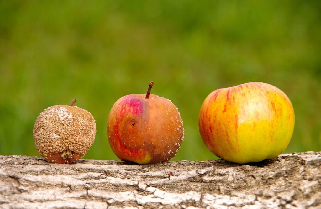 good bad ugly apples