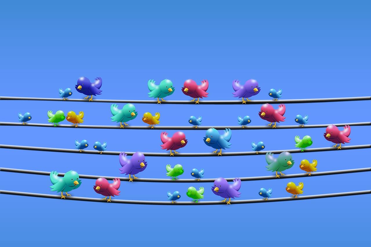 Twitter birds