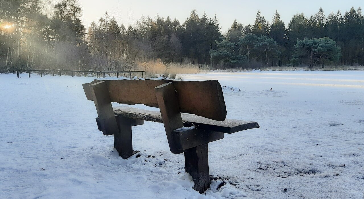 Pause for inspiration - Online Amplify
