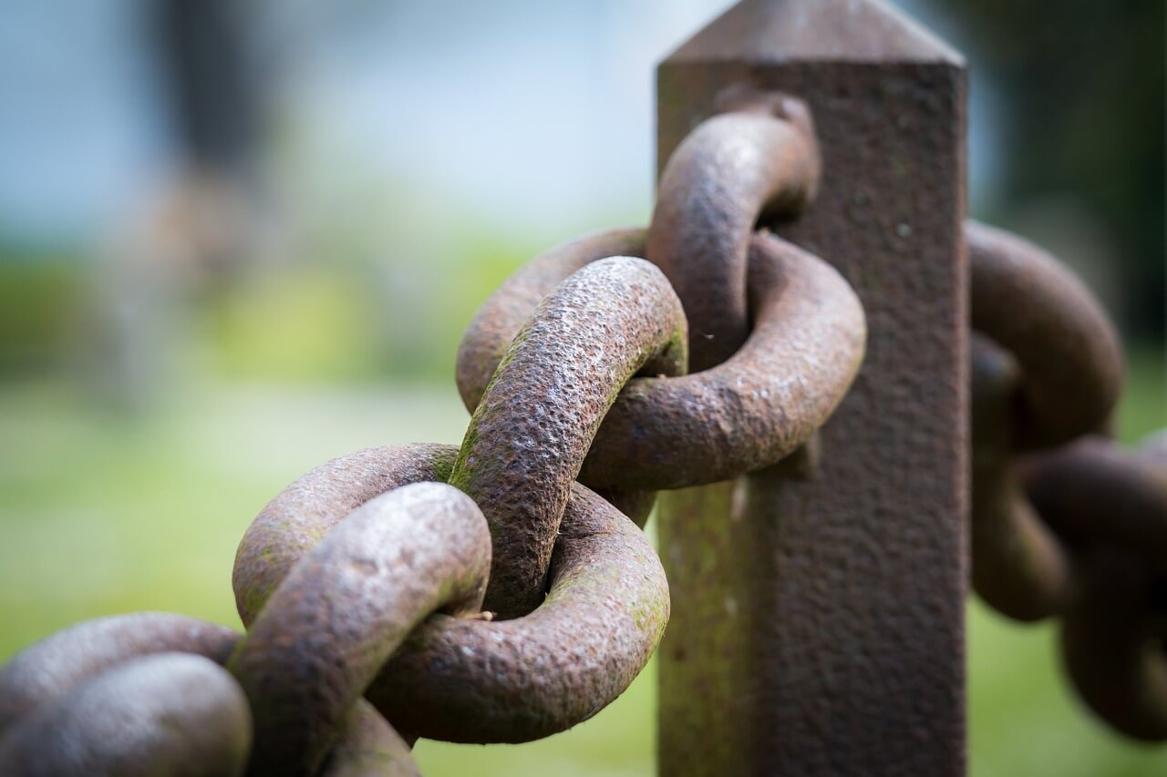 Leveraging links part 3 - Online Amplify