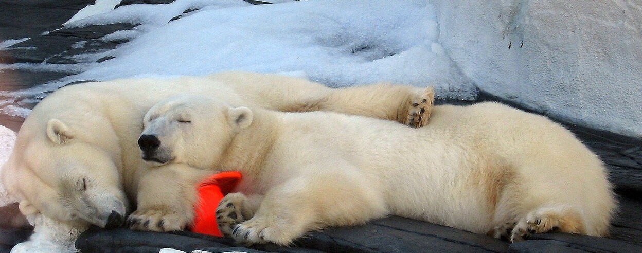 Is your blog hibernating - Online Amplify