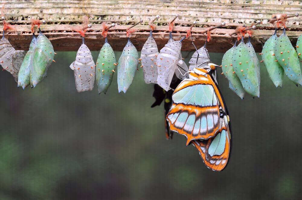 Improve your blog effectiveness - Online Amplify