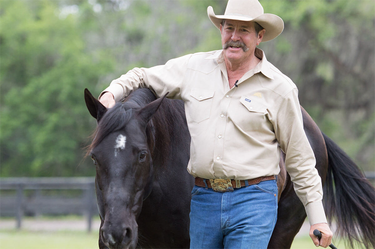 Pat-Parelli -wisdom-from-horse- trainer-online-amplify-blog 1200x798