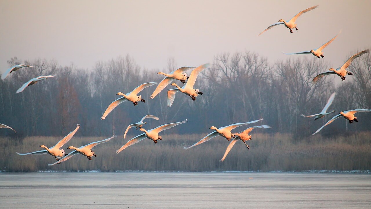 Content Do's Don'ts to make prospects flock to you