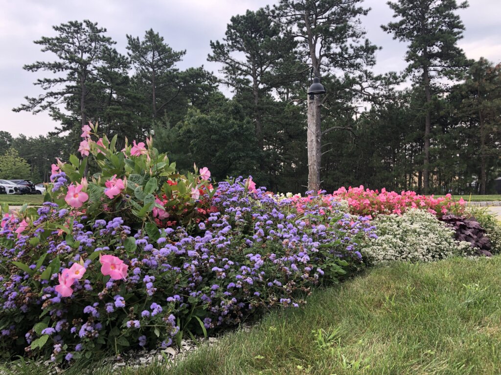 For Content Strategy Insights, Look to the Garden